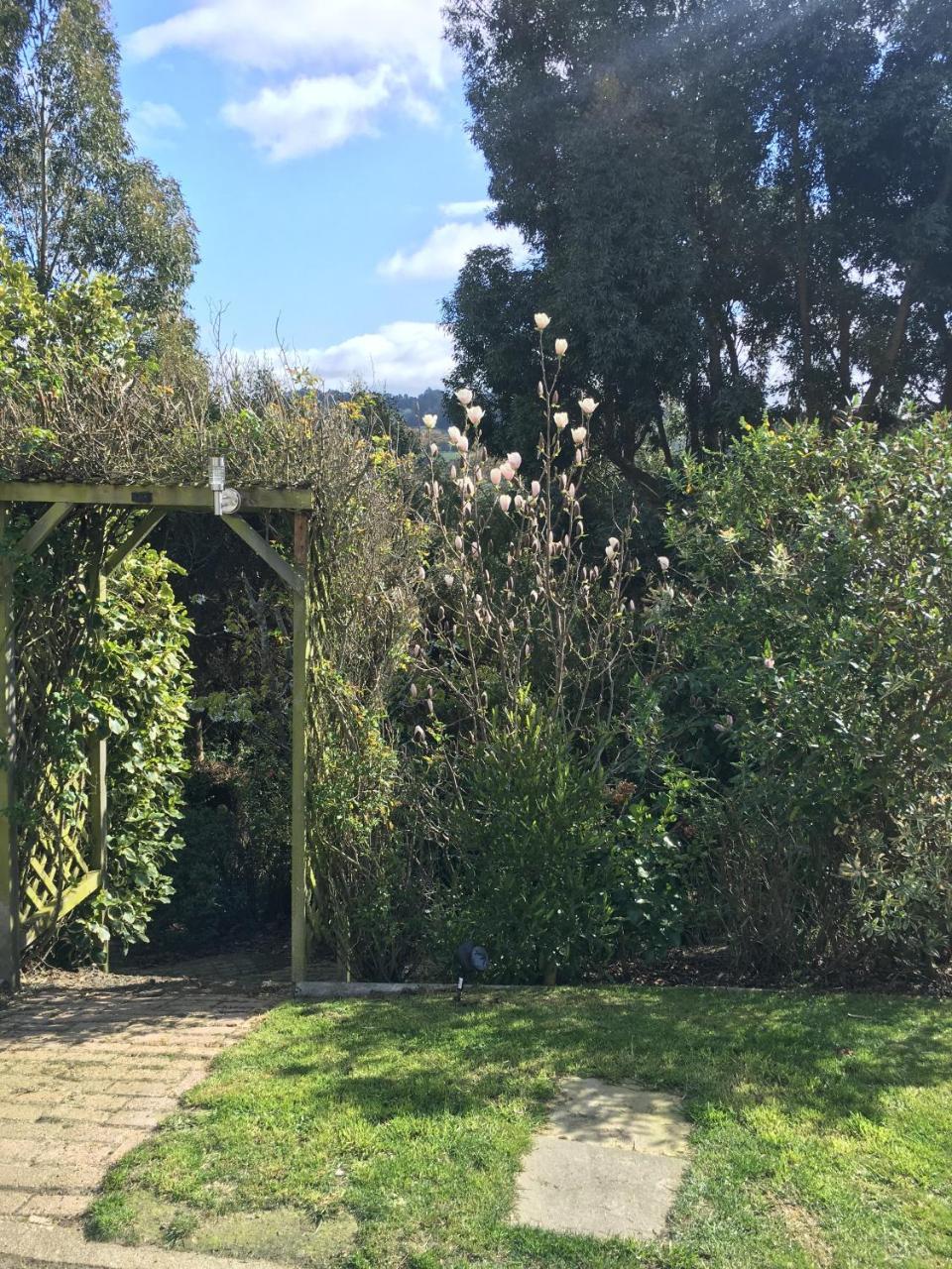 Sharyn'S B & B Dunedin Exterior photo